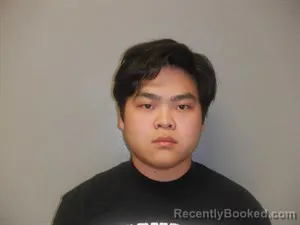 Mugshot of Thanh Loi Dang booked in Craighead County, Arkansas on June 30, 2026