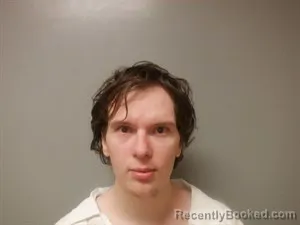 Mugshot of Logan Matthew Sawyer booked in Craighead County, Arkansas on June 30, 2026