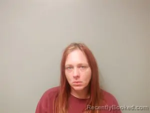 Mugshot of Liana Sue Spellman booked in Craighead County, Arkansas on July 8, 2026