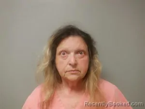 Mugshot of Karen Sue Siegel booked in Craighead County, Arkansas on July 9, 2026