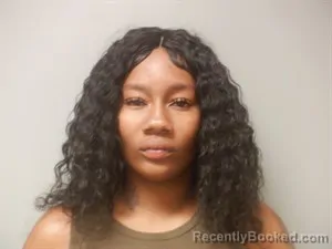 Mugshot of Chrislynn Nicole Chapple booked in Craighead County, Arkansas on July 15, 2026