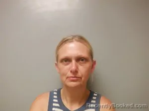 Mugshot of Kristy Ann Fields booked in Craighead County, Arkansas on July 15, 2026