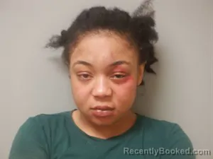 Mugshot of Ericka Renea Johnson booked in Craighead County, Arkansas on August 2, 2026