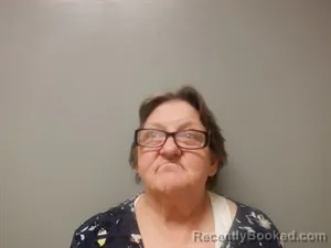 Mugshot of Carla Sue Stevenson booked in Craighead County, Arkansas on August 3, 2026