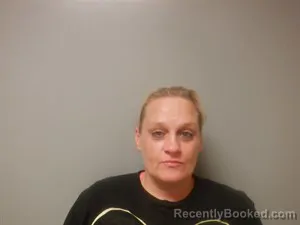 Mugshot of Kerri Rae Enis booked in Craighead County, Arkansas on August 3, 2026