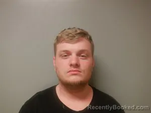 Mugshot of Rowdy Blaze Stout booked in Craighead County, Arkansas on August 10, 2026