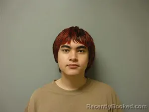 Mugshot of Jacob Ahn Truong booked in Craighead County, Arkansas on September 10, 2026