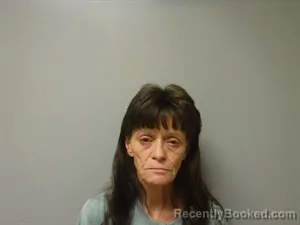 Mugshot of Violet Louise Tipton booked in Craighead County, Arkansas on September 10, 2026