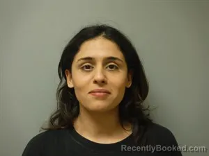 Mugshot of Noor Nmn Haynes booked in Craighead County, Arkansas on September 17, 2026