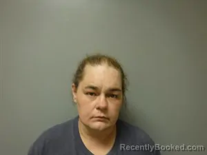 Mugshot of Chrystal Dawn Cox booked in Craighead County, Arkansas on September 19, 2026