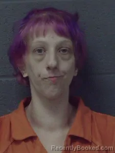 Mugshot of Vanessa Nichole Robinson booked in Craighead County, Arkansas on September 27, 2026