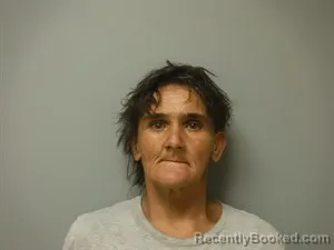 Mugshot of Cynthia Dawn Huffins booked in Craighead County, Arkansas on October 8, 2026