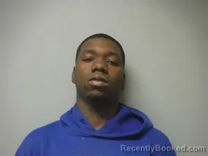 Mugshot of Ryan D Johnson