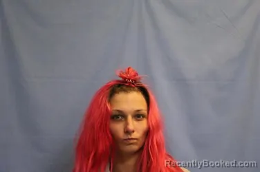 Mugshot of LILY ANN PARVIN booked in Crawford County, Arkansas on March 23, 2026