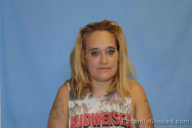 Mugshot of Shannon Renee Diaz booked in Crawford County, Arkansas on September 25, 2026