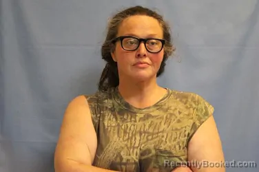 Mugshot of RACHEL LYNN LYONS booked in Crawford County, Arkansas on April 16, 2026