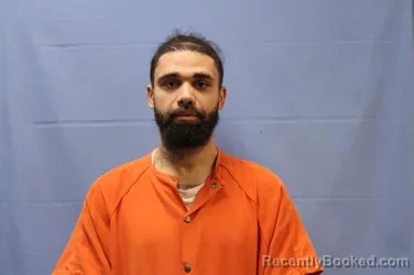 Mugshot of JOHNNY LEE ANDREWS