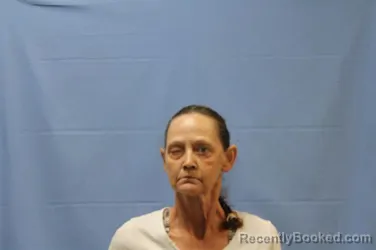 Mugshot of PAMELA LYNN SHERRILL booked in Crawford County, Arkansas on April 30, 2026