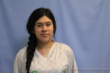 Mugshot of DALILA ANGELICA TORRES booked in Crawford County, Arkansas on April 1, 2026