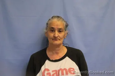 Mugshot of LISA NICOLE SMITH booked in Crawford County, Arkansas on March 23, 2026