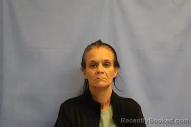 Mugshot of TONYA MICHELLE HUFFSTETLER booked in Crawford County, Arkansas on March 25, 2026