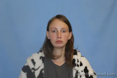 Mugshot of WILLOW DAWN BROCK