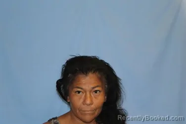 Mugshot of ROSALINDA VILLANUEVA booked in Crawford County, Arkansas on July 20, 2026