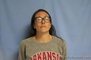 Mugshot of RACHEL SARAH TAYLOR ZANELLI booked in Crawford County, Arkansas on June 23, 2026