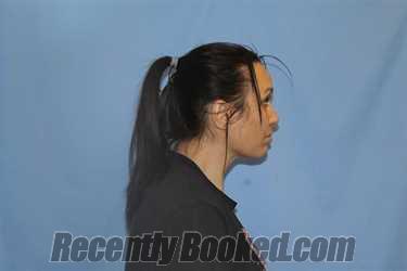 Booking photo from Crawford County, Arkansas