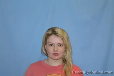 Booking photo from Crawford County, Arkansas