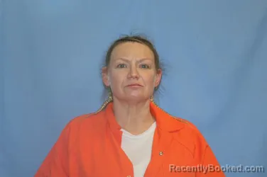 Mugshot of SHERI LYNN HUDSON