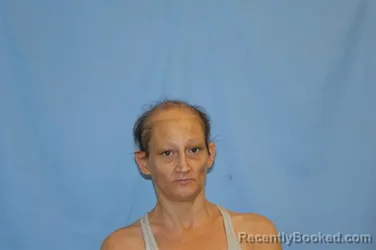 Mugshot of AMBER NICOLE HUTCHINS booked in Crawford County, Arkansas on July 23, 2026