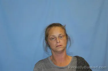 Mugshot of Heather Nicole Waldon booked in Crawford County, Arkansas on September 3, 2026