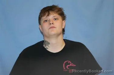Mugshot of HAILIE MICHELLE DAWS booked in Crawford County, Arkansas on July 22, 2026
