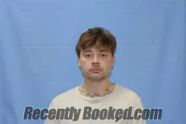 Booking photo from Crawford County, Arkansas