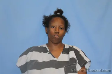 Booking photo from Crawford County, Arkansas