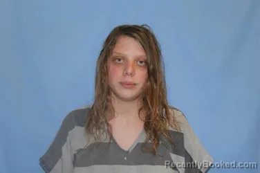 Mugshot of HALEY ANN GRAHAM