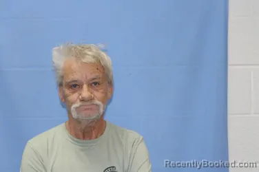 Mugshot of JERRY FAY ODOM