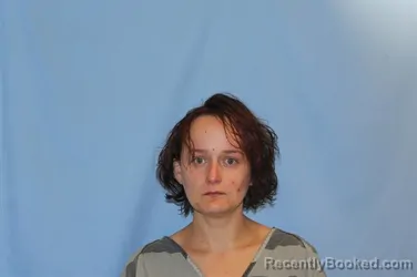 Mugshot of Sonya Gaylon Johnston booked in Crawford County, Arkansas on October 6, 2026