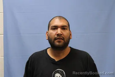 Mugshot of OCTOVIO GALLEGOS booked in Crawford County, Arkansas on March 24, 2026