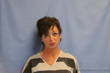 Booking photo from Crawford County, Arkansas