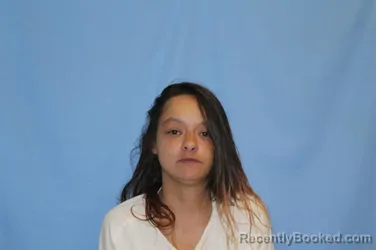Mugshot of TAREYN ELAINE MORRISON booked in Crawford County, Arkansas on July 31, 2026