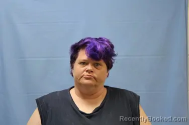 Mugshot of LORETTA SUE JAMES booked in Crawford County, Arkansas on July 6, 2026