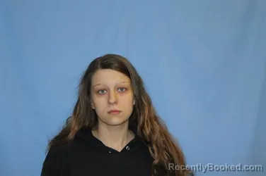 Booking photo from Crawford County, Arkansas