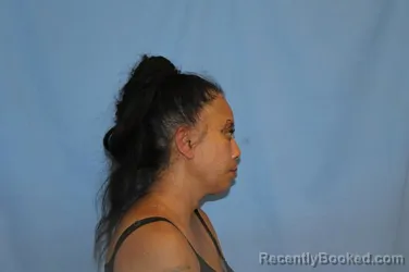 Mugshot of Vilayvanh Cox booked in Crawford County, Arkansas on August 23, 2026