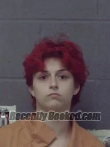 Booking photo from Crittenden County, Arkansas