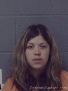 Mugshot of Sara Lynn Castro
