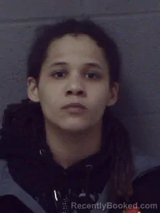 Mugshot of Kaylin Breanna Loving