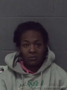 Mugshot of Ashla L Hurdle