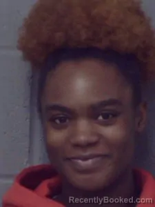 Mugshot of Aaliyah Moneh Holliman